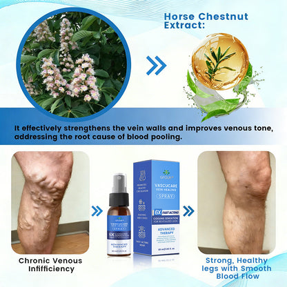 🇺🇸🎁GFOUK® VascuCare Vein Healing Spray(Designed for Varicose veins, Spider veins, Deep vein Thrombosis, Chronic venous insufficiency, Venous ulcers, Thrombophlebitis and other venous issues)