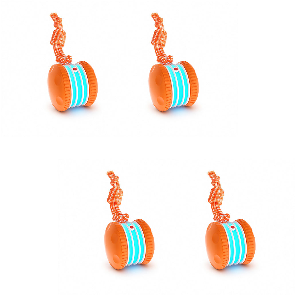 4 Packs (Multi Dog Play Pack for active chewers and backups)