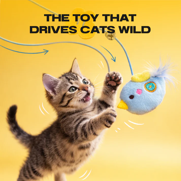 🪀Futavion®THE AUTOMATIC YO-YO TOY THAT DRIVES CATS WILD