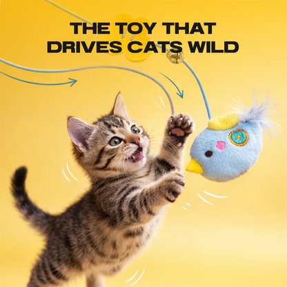 🪀Futavion®THE AUTOMATIC YO-YO TOY THAT DRIVES CATS WILD