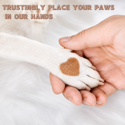 🐶🐾Futavion®Dog Nail File For Dogs, Scratch Square For Dogs Stress Free Nail File, Dog Nail File & Scratch Pad - Prevent Furniture Damage from Long Sharp Dog Nails, Stress-Free Claw Trimmer and Grinder for Dog Grooming at Home, Pet Nail Care