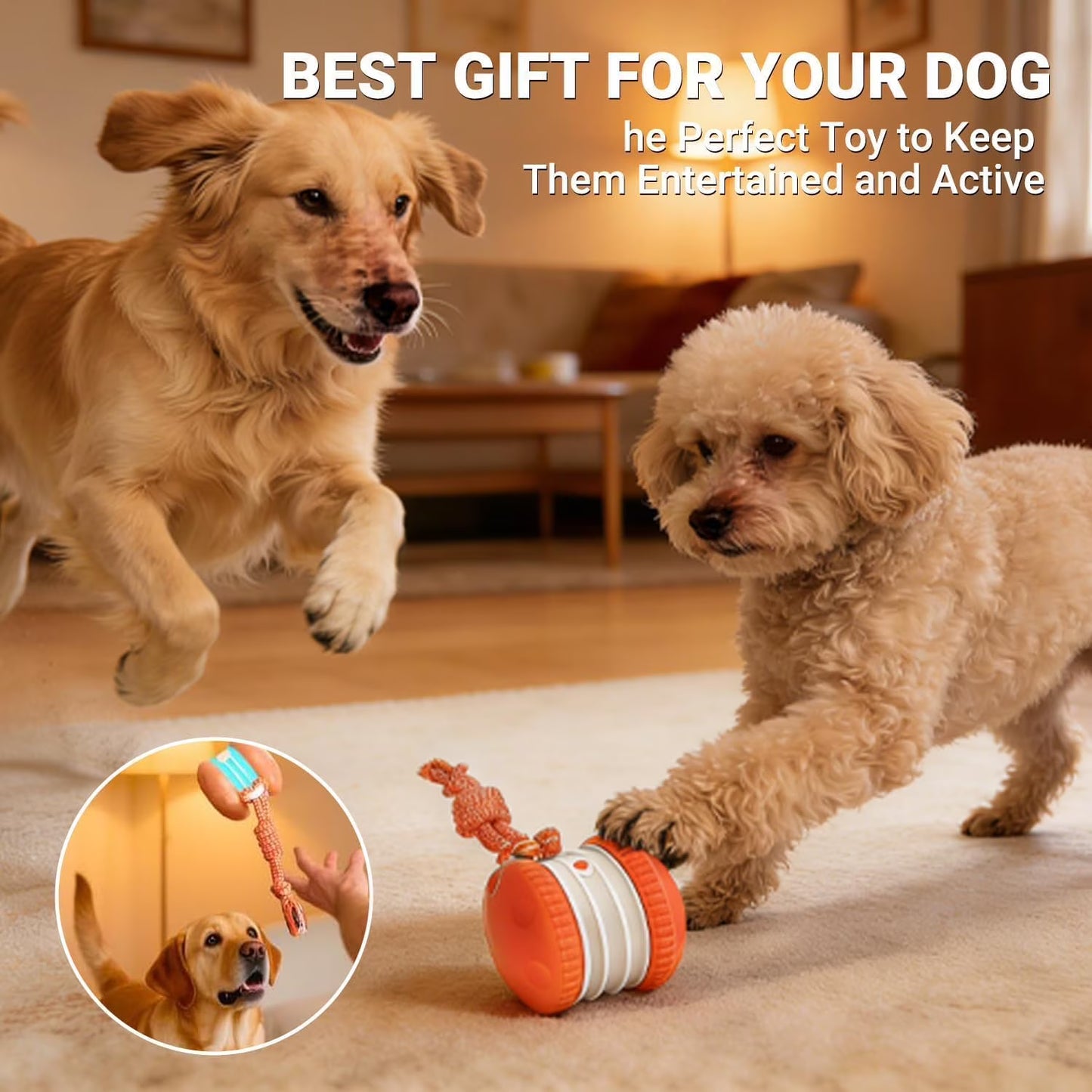 UP|⚽Futavion®Interactive Dog Toys, Electric Automatic Rolling Ball Toy with Rope, Random Path Moving Dog Ball for Chewing and Playing, Boredom Relief,for Small Medium Dogs