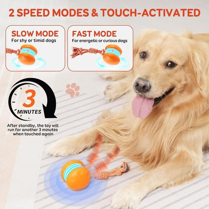 UP|⚽Futavion®Interactive Dog Toys, Electric Automatic Rolling Ball Toy with Rope, Random Path Moving Dog Ball for Chewing and Playing, Boredom Relief,for Small Medium Dogs
