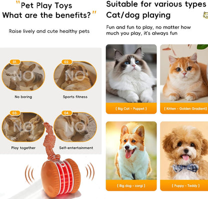 UP|⚽Futavion®Interactive Dog Toys, Electric Automatic Rolling Ball Toy with Rope, Random Path Moving Dog Ball for Chewing and Playing, Boredom Relief,for Small Medium Dogs