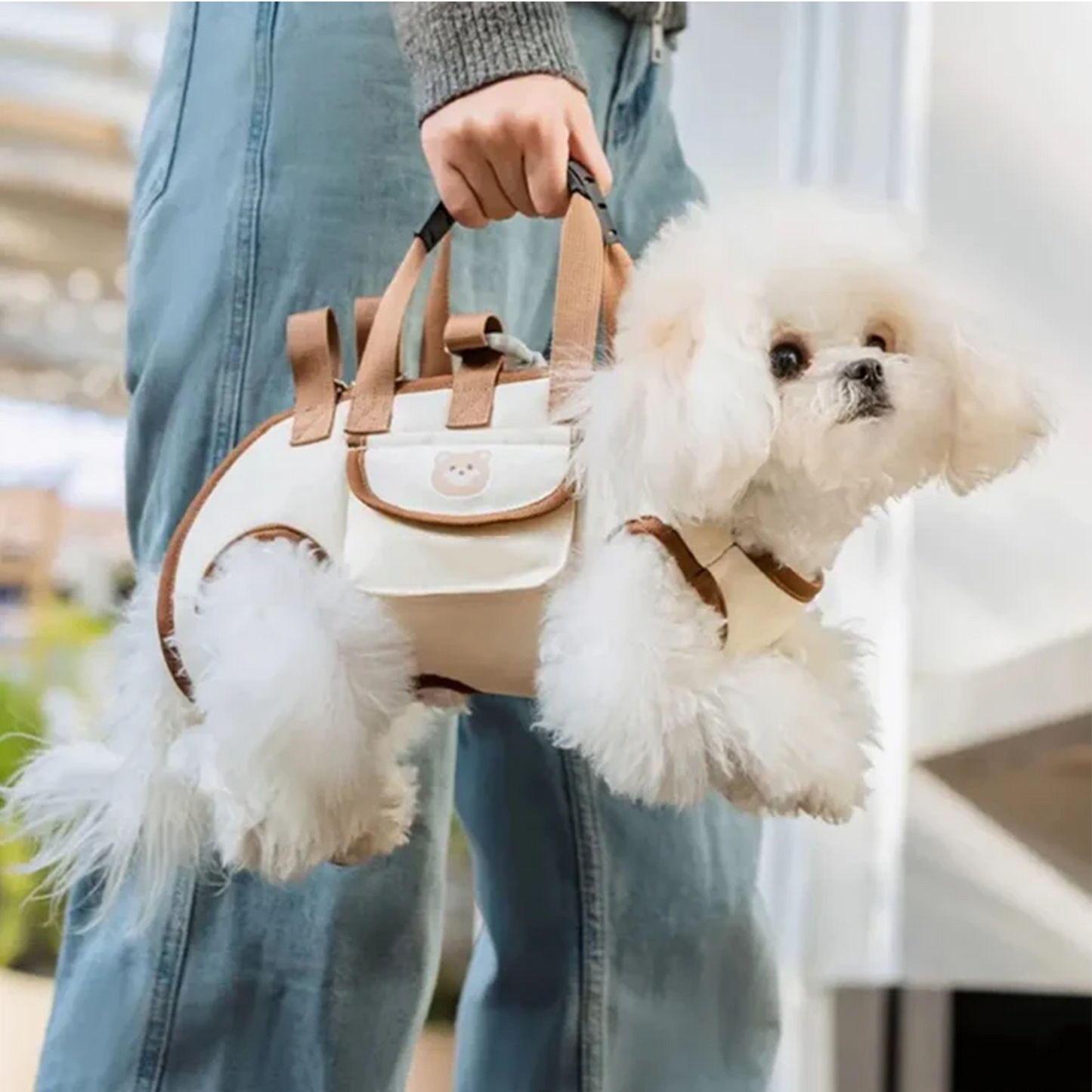 👜🐕‍🦺Futavion®Portable Breathable Pet Carrier Sling & Backpack for Dogs & Cats, Adjustable Full-Body Harness with Traction Leash, Crossbody & Car-Friendly (Small)
