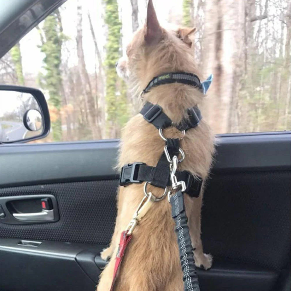 Futavion®Dog Seat Belts Headrest Restraint Puppy Safety Adjustable Dog Car Seatbelts and Strong Leash Leads Accessories for Dogs Cats Pets Black