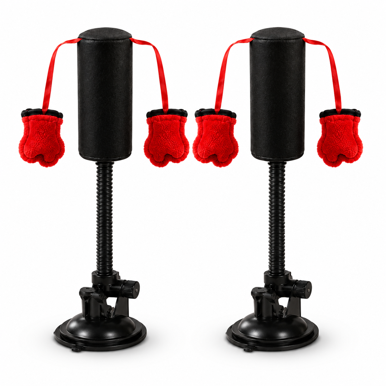 2PCS – Double Fun Cat Toy Set