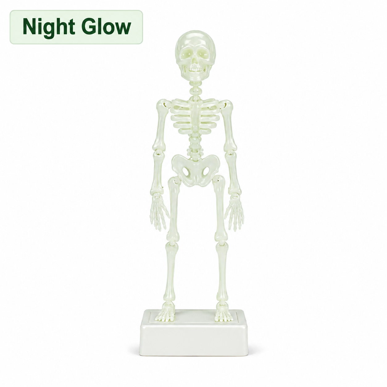 1 Pack - Night Glow✨