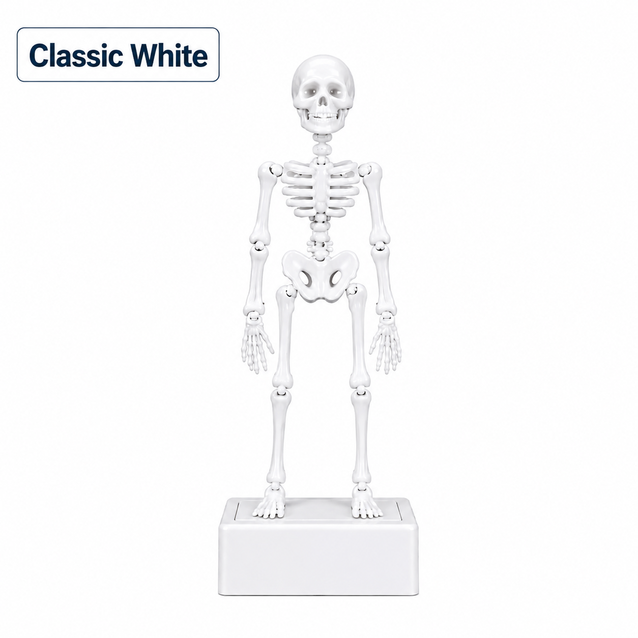 1 Pack - Classic White🤍