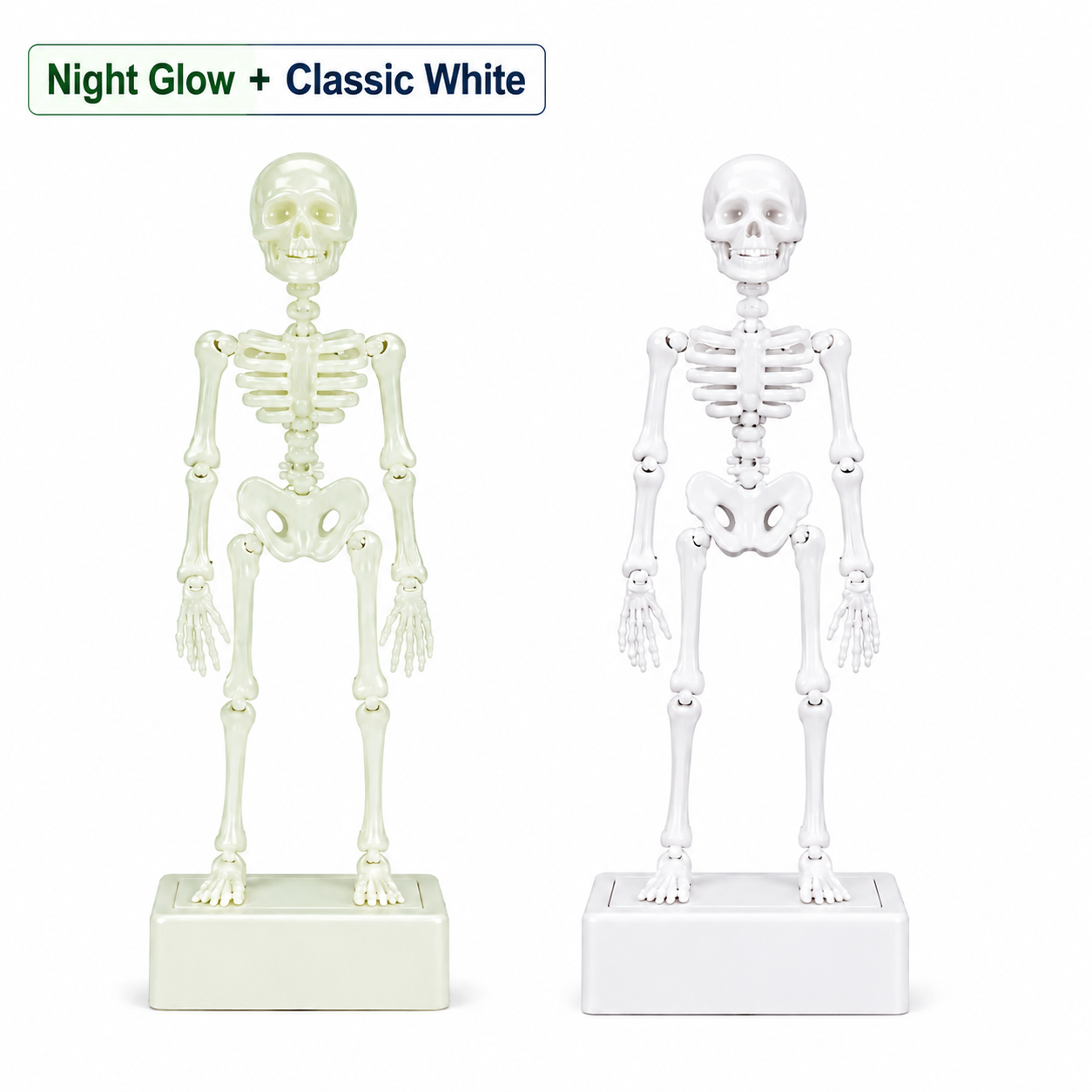 Mixed Set (Night Glow + Classic White)✨
