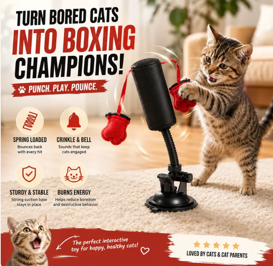 Spring-Loaded Cat Punching Bag 🥊 – Interactive Indoor Play Toy