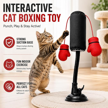 Spring-Loaded Cat Punching Bag 🥊 – Interactive Indoor Play Toy