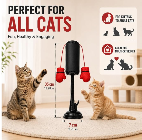 Spring-Loaded Cat Punching Bag 🥊 – Interactive Indoor Play Toy