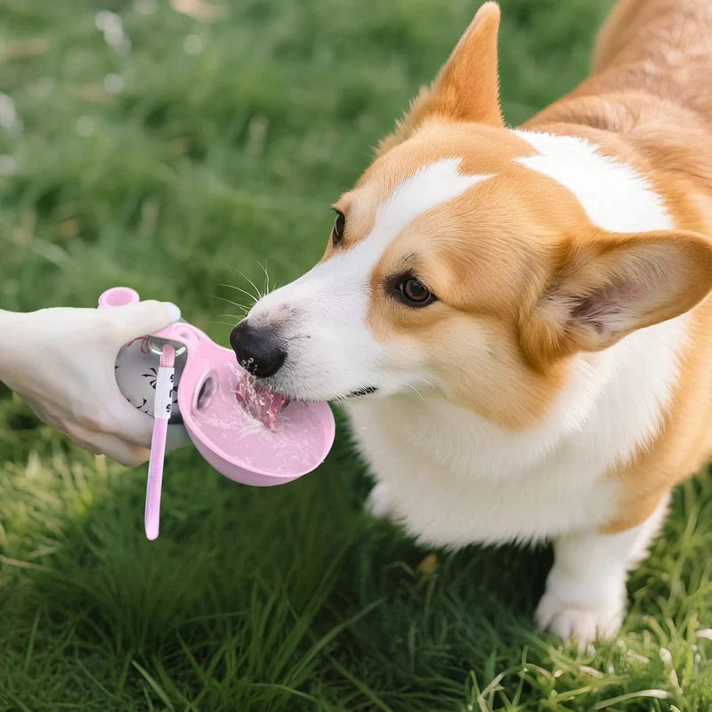 Futavion® 🔥 Portable Dog Water Ball🐶
