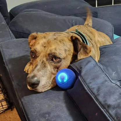 🔵Futavion® Automatic Obstacle Avoidance Smart Jumping Ball Toy, Type-C Rechargeable Dog Shaking Toy. Bouncing Balls for All Dogs.（Orange and Blue）