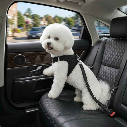 Futavion®Dog Seat Belts Headrest Restraint Puppy Safety Adjustable Dog Car Seatbelts and Strong Leash Leads Accessories for Dogs Cats Pets Black